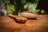 Aceite de hueso de mamey