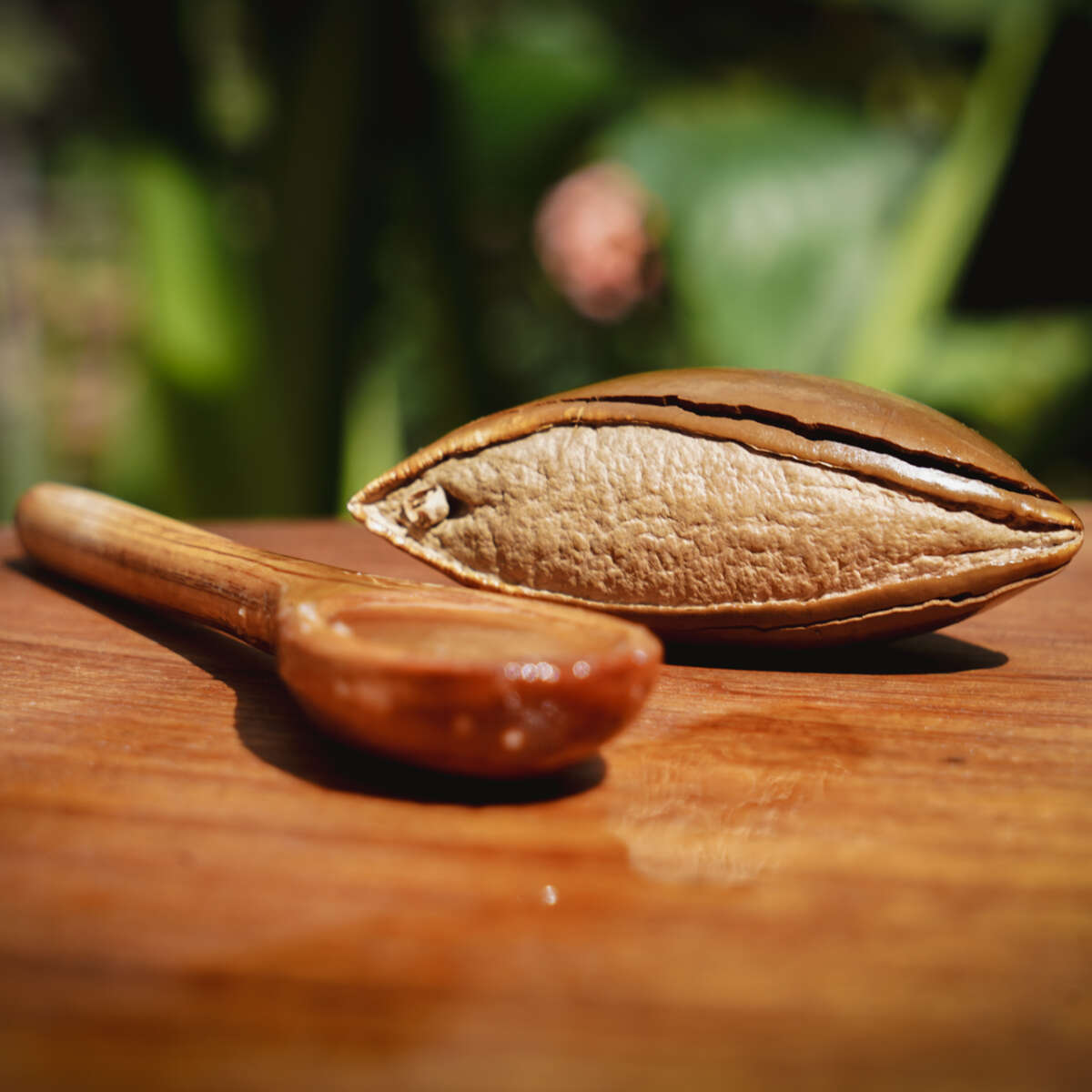 Aceite de hueso de mamey